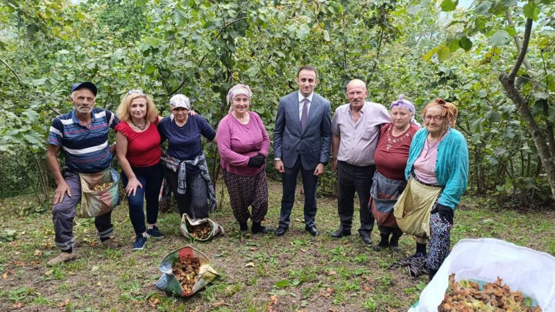 Çarlaklı Mahallesi'nde Fındık Hasadı Ziyareti