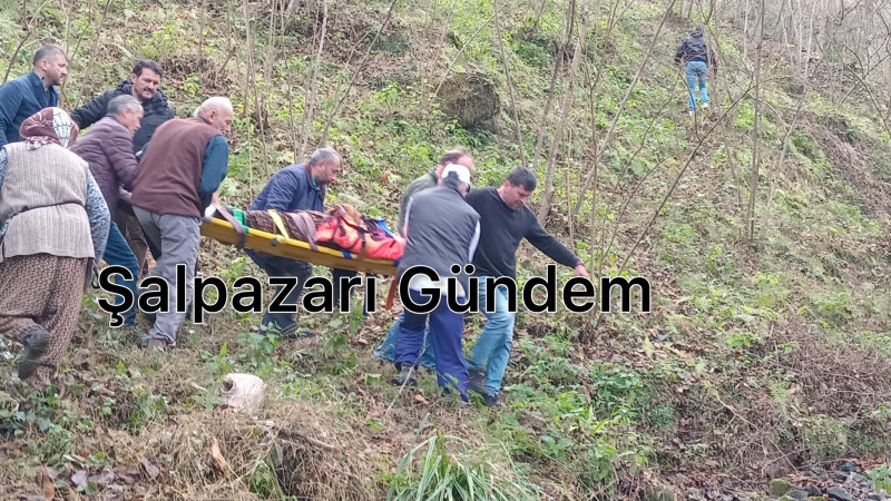 Şalpazarı’nda Trafik Kazası: 2 Kişi Yaralandı