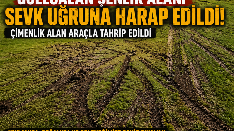 Göllüalan Şenlik Alanı Sevk Uğruna Harap Edildi! Çimenlik Alan Araçla Tahrip Edildi