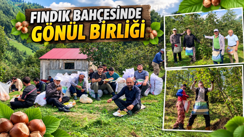 FINDIK BAHÇESİNDE GÖNÜL BİRLİĞİ